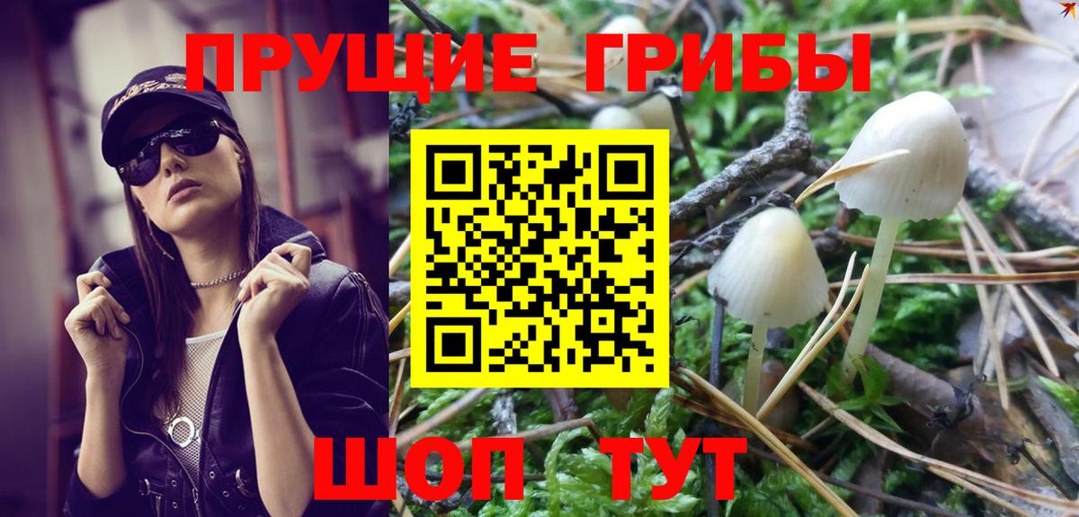 Псилоцибиновые грибы MAGIC MUSHROOMS Чайковский