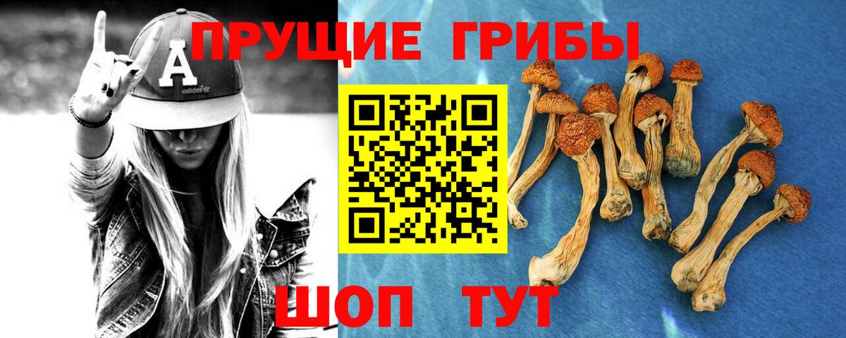 Чайковский  Галлюциногенные грибы GOLDEN TEACHER  Вход с VPN 